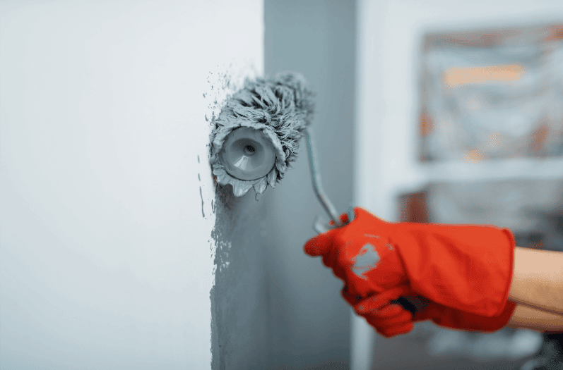 Plascon Paint Expert