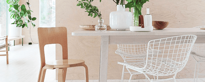Birch Plywood